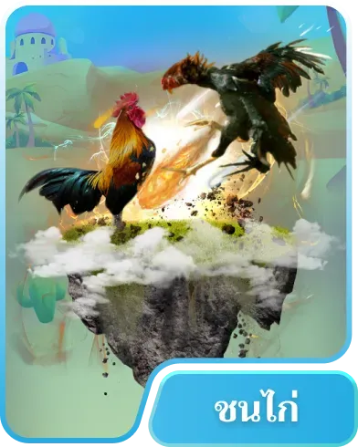 ชนไก่